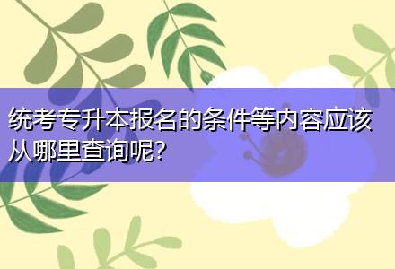 統(tǒng)考專升本報(bào)名的條件等內(nèi)容應(yīng)該從哪里查詢呢？