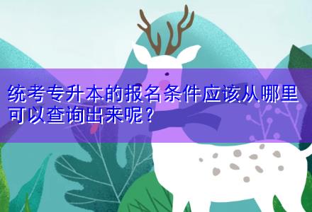 統(tǒng)考專升本的報名條件應該從哪里可以查詢出來呢？