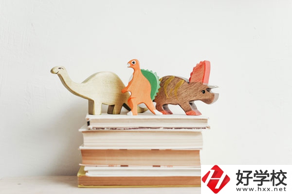 懷化啟航衛(wèi)生學(xué)校辦學(xué)地址在哪兒？
