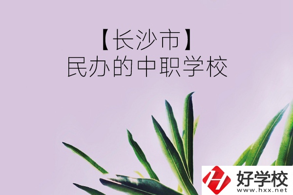 長沙市有哪些民辦的中職學(xué)校？