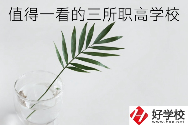 湖南有什么好的職高學(xué)校？這3所學(xué)校值得一看！