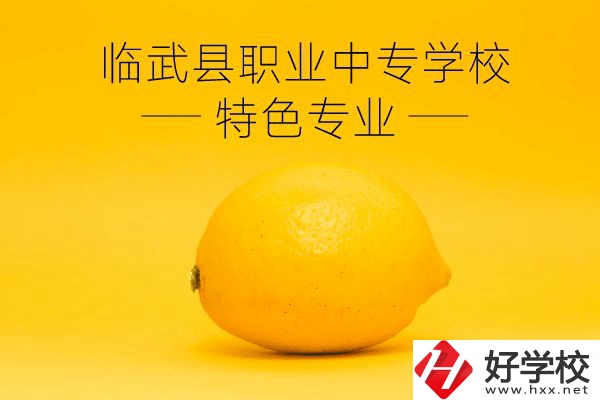 臨武縣職業(yè)中專(zhuān)學(xué)校好嗎？有哪些特色專(zhuān)業(yè)？