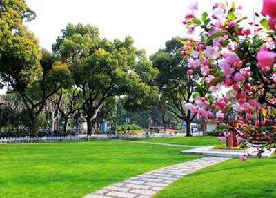 單招考試十大類分別是什么專業(yè)？單招選哪類專業(yè)更好